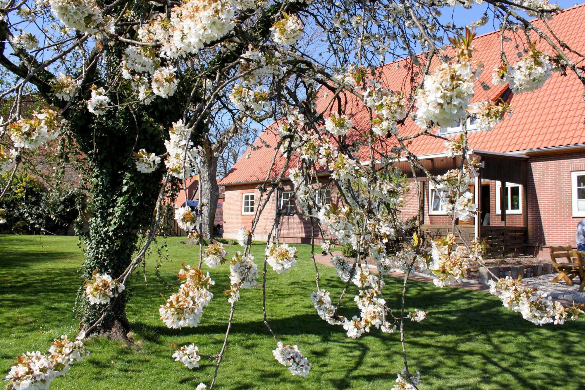 Ferienwohnung Gartenblick - A19374 Suderburg Exteriér fotografie